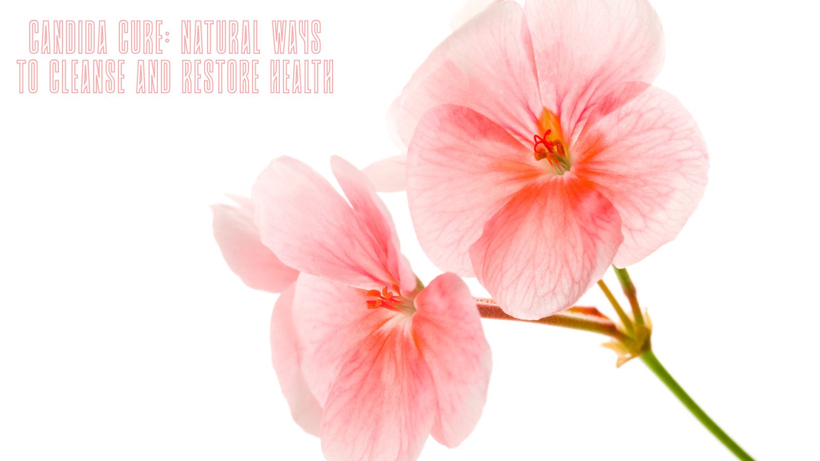 Candida Cure: Natural Ways to Cleanse and Restore Health