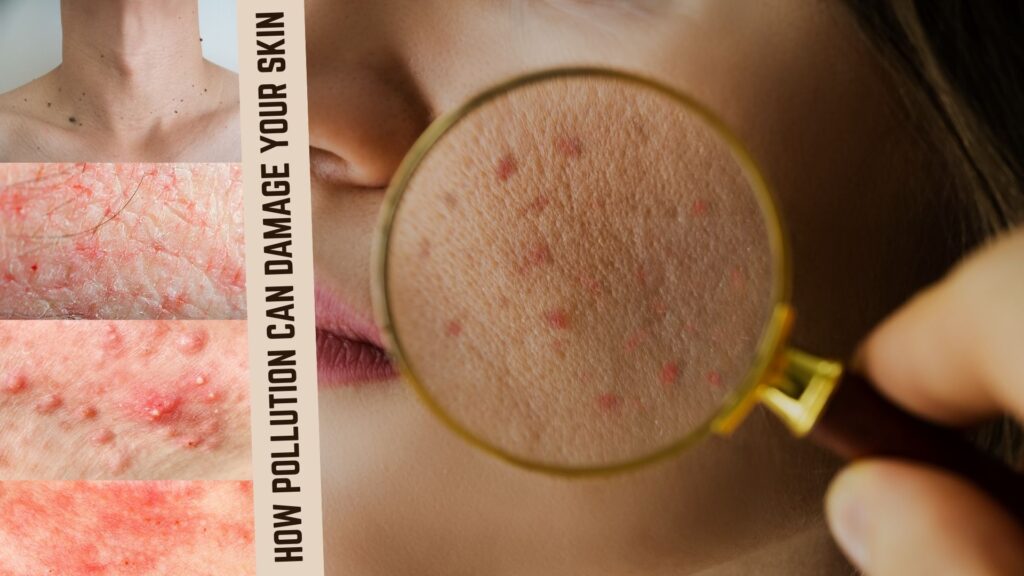 Pollution-Proof Skin; How Pollution Damages you skin 