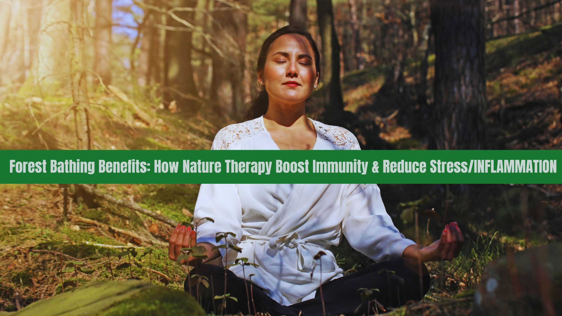 Forest Bathing Benefits: How Nature Therapy Boost Immunity & Reduce Stress Naturally