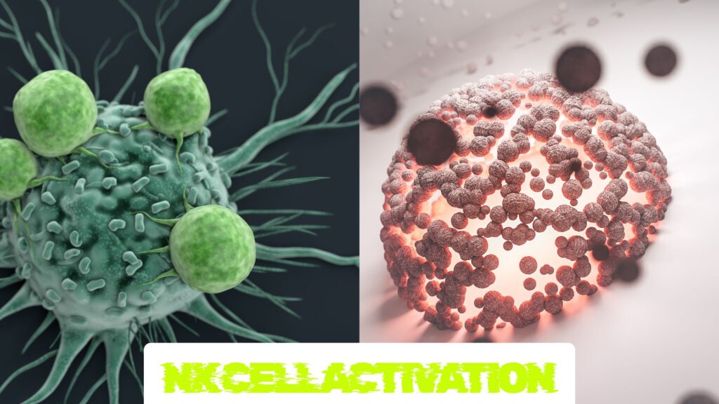 NK Cells Activation in Nature.