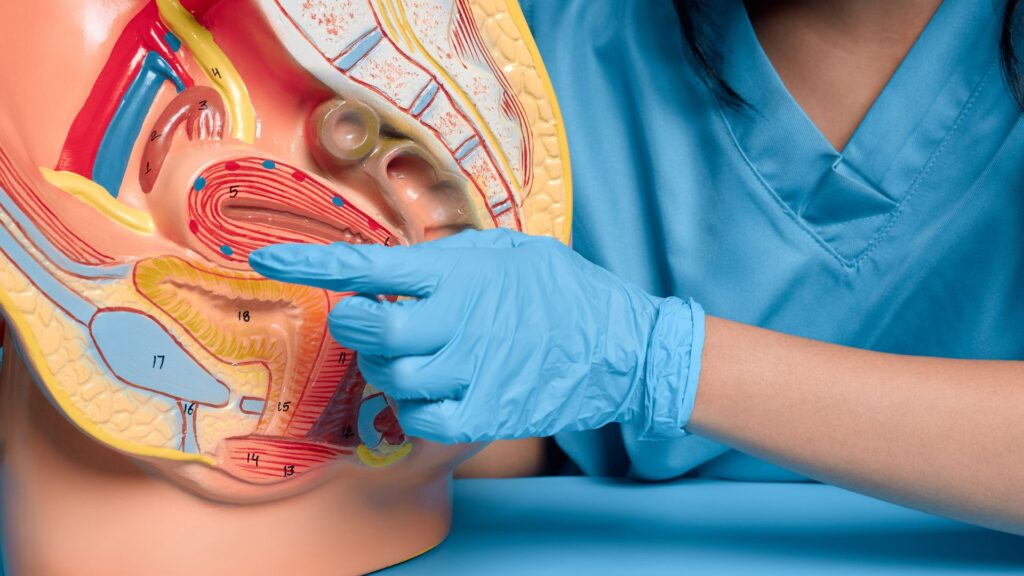 overactive sympathetic” vs. “overactive parasympathetic” nervous system. overactive sympathetic” vs. “overactive parasympathetic” nervous system.