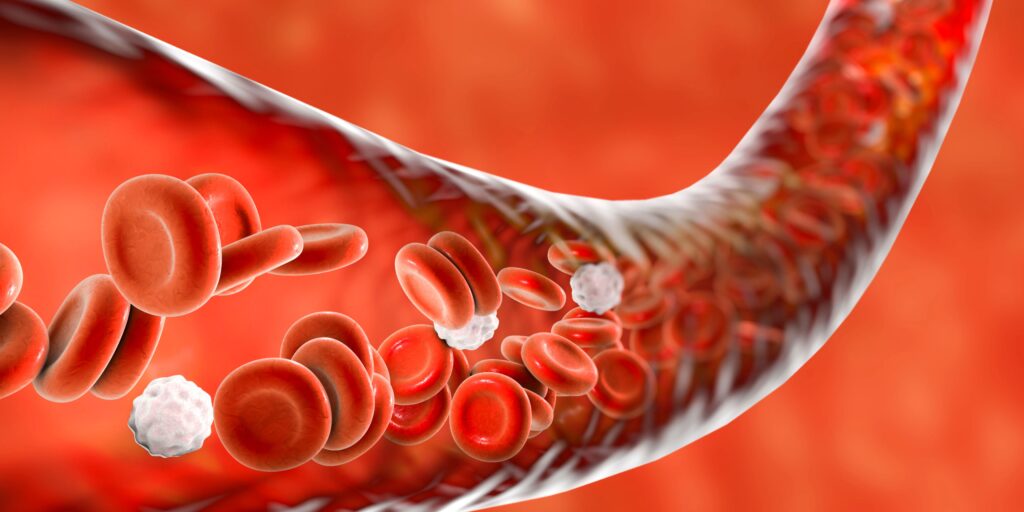 Medical illustration showing how blood vessels constrict in cold weather affecting circulation