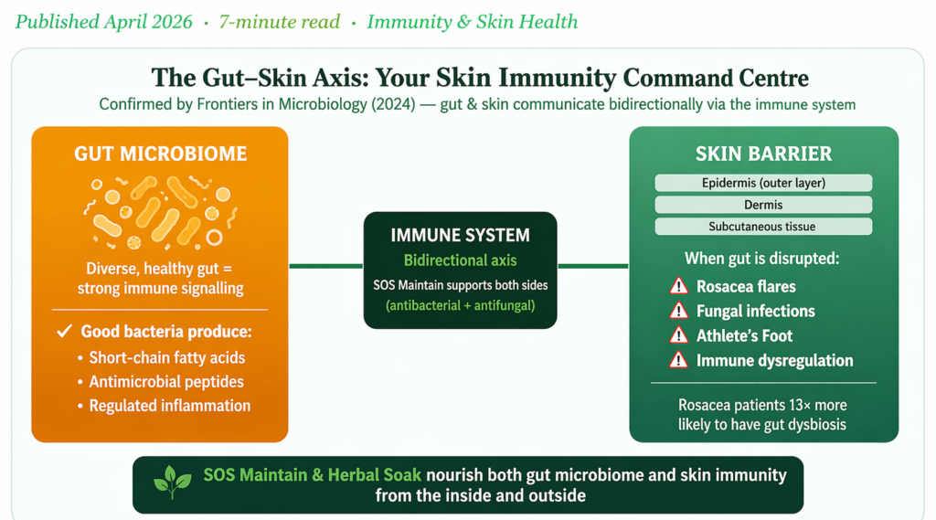 Scientific diagram of the gut-skin axis — a disrupted gut microbiome directly weakens skin immunity, leading to rosacea, fungal infections and athlete's foot. SOS Maintain's antibacterial and antifungal formula supports both sides of this bidirectional immune connection. Scientific diagram of the gut-skin axis — a disrupted gut microbiome directly weakens skin immunity, leading to rosacea, fungal infections and athlete's foot. SOS Maintain's antibacterial and antifungal formula supports both sides of this bidirectional immune connection.