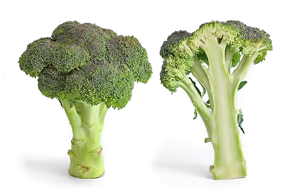  fresh broccoli — non-starchy anti-candida food for candida natural cleanse diet 2026