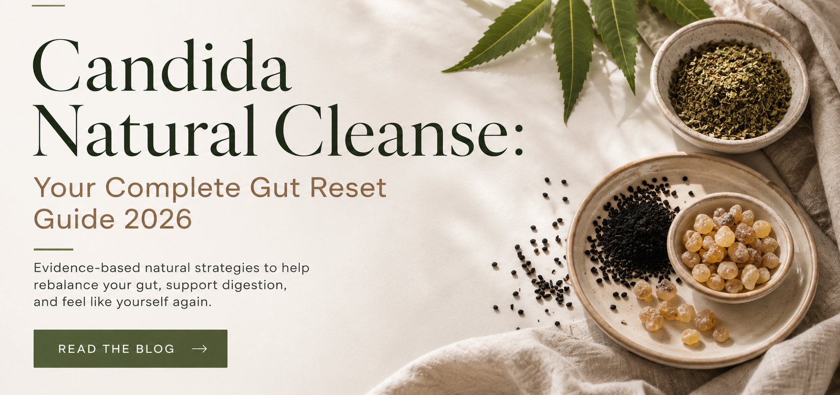 The 2026 Candida Cleanse Guide