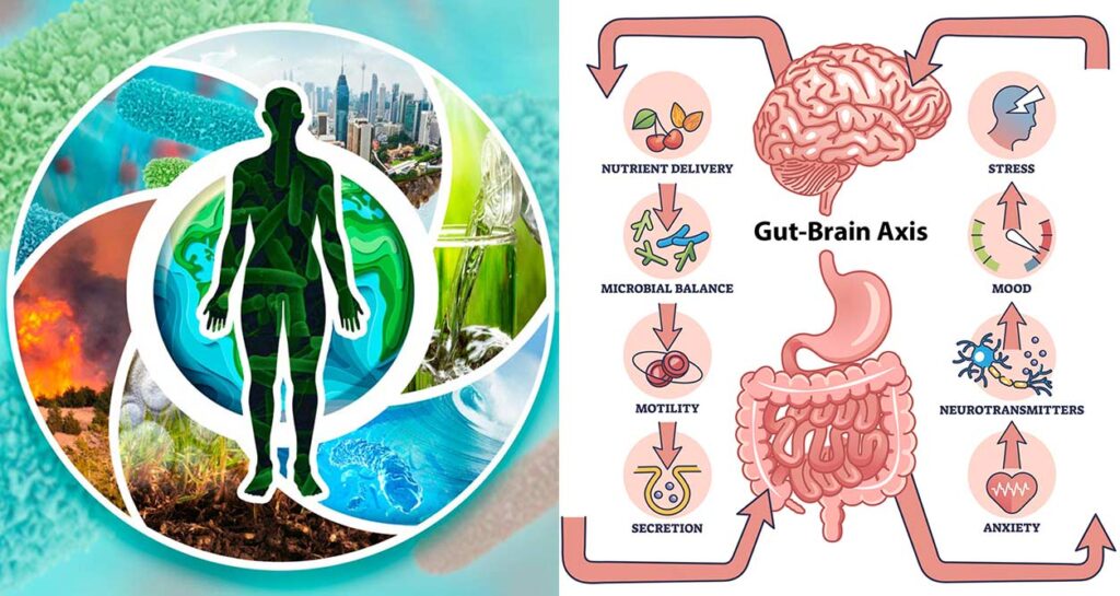 gut skin axis scientific diagram showing how candida gut overgrowth causes acne eczema rosacea, candida natural cleanse