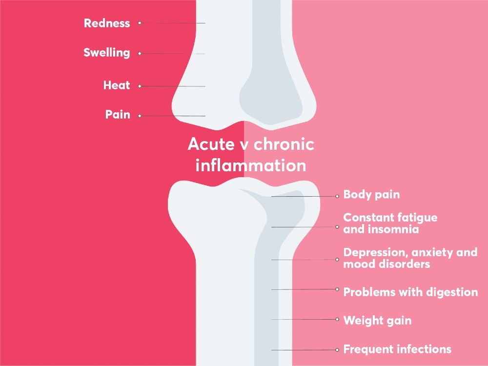 diagram showing acute vs chronic inflammation process in the human body