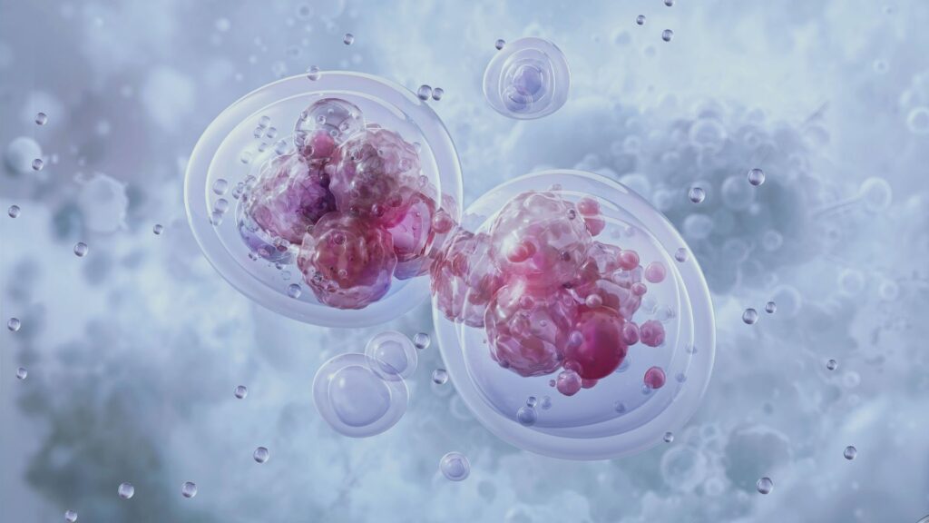 diagram of cellular metabolism and energy production — natural metabolic support guide 2026 SOS Essentials 
